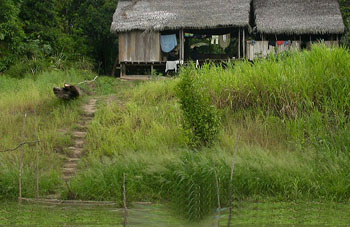 Hütte an einem Zufluss des Amazonas in Peru